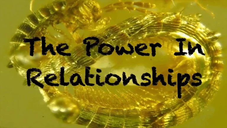 The Power In Relationships | Gonzalo Lira CRP